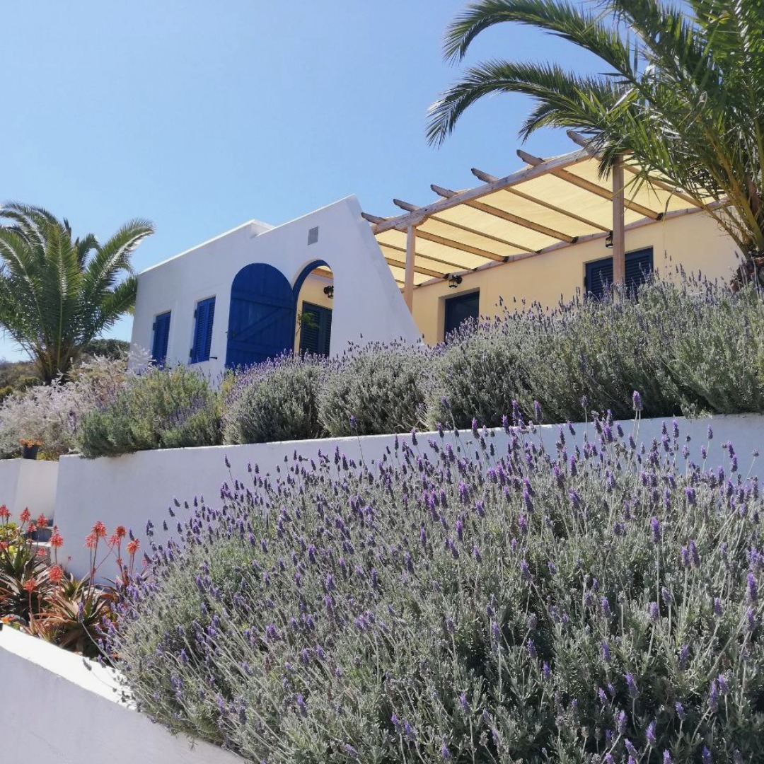 Calm Coastal Living in Agia Marina Aegina at Oneiro Glico